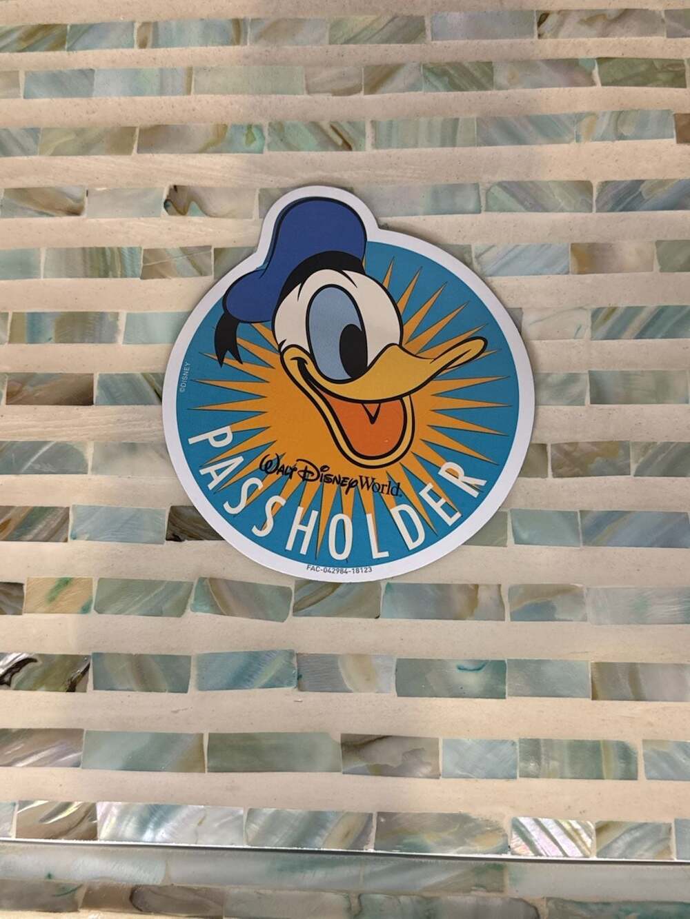 Walt Disney World Donald Duck Passholder Magnet